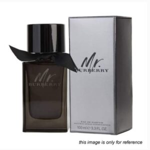 Mr Burberry